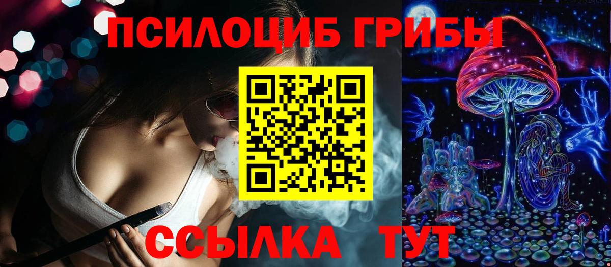 Галлюциногенные грибы GOLDEN TEACHER  купить наркотики цена  Псилоцибиновые грибы Cubensis  Чистополь  Вход с VPN 